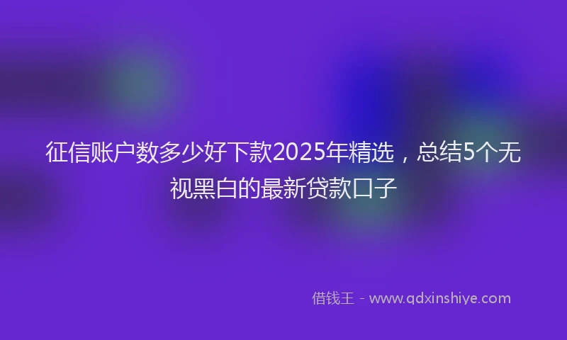 征信账户数多少好下款2025年精选，总结5个无视黑白的最新贷款口子