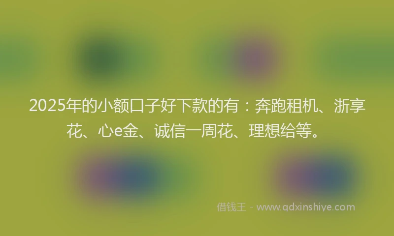 2025年的小额口子好下款的有：奔跑租机、浙享花、心e金、诚信一周花、理想给等。