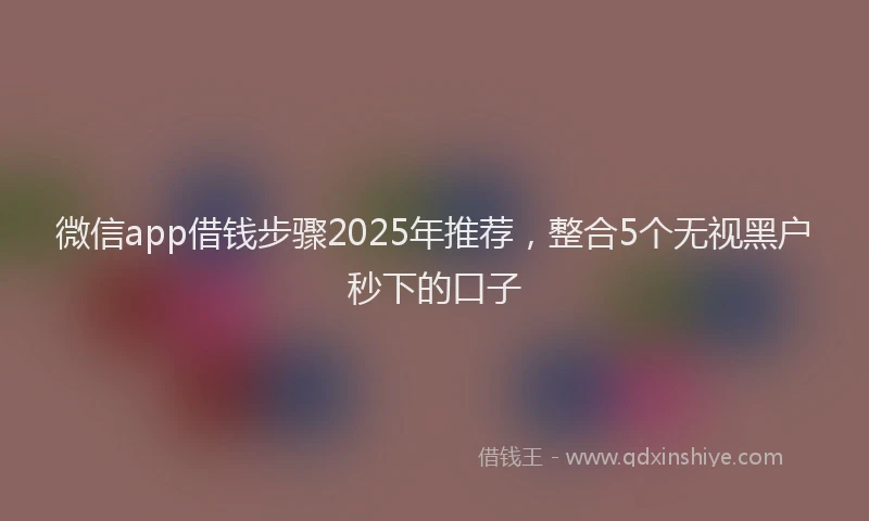 微信app借钱步骤2025年推荐，整合5个无视黑户秒下的口子