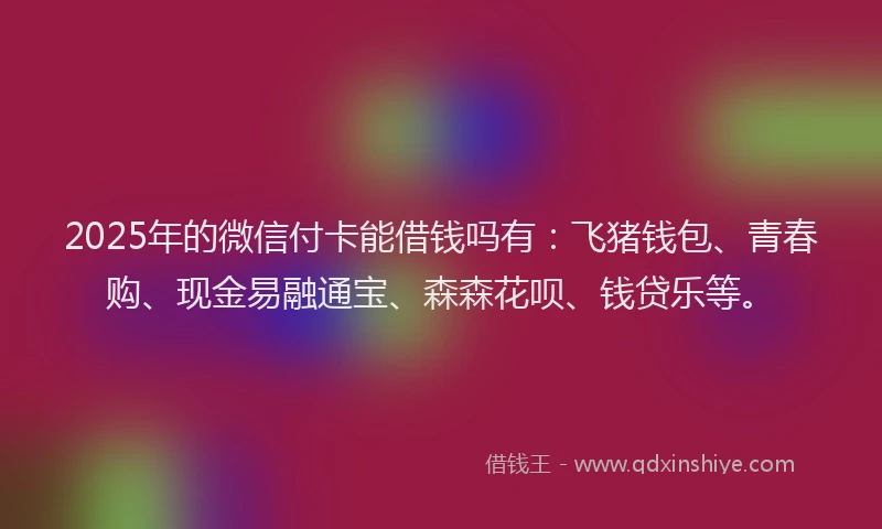 2025年的微信付卡能借钱吗有：飞猪钱包、青春购、现金易融通宝、森森花呗、钱贷乐等。