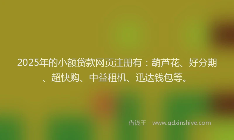 2025年的小额贷款网页注册有：葫芦花、好分期、超快购、中益租机、迅达钱包等。