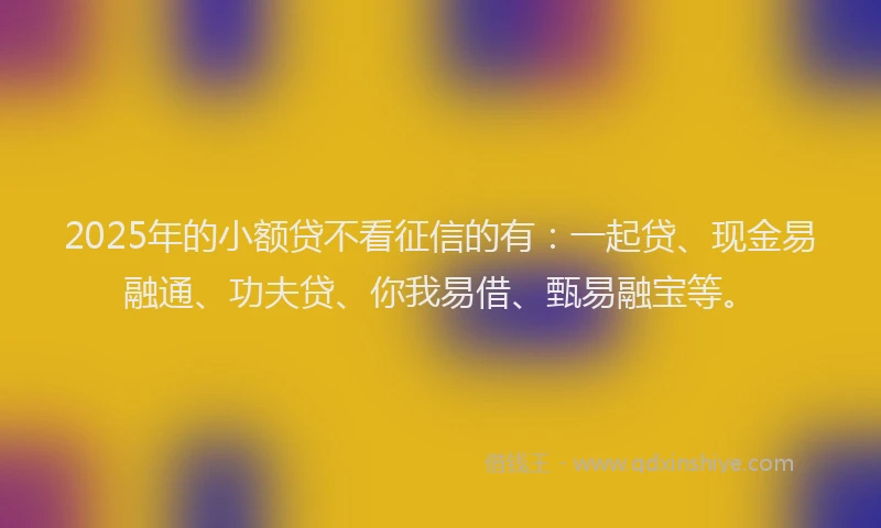 2025年的小额贷不看征信的有：一起贷、现金易融通、功夫贷、你我易借、甄易融宝等。