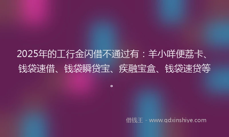 2025年的工行金闪借不通过有：羊小咩便荔卡、钱袋速借、钱袋瞬贷宝、疾融宝盒、钱袋速贷等。