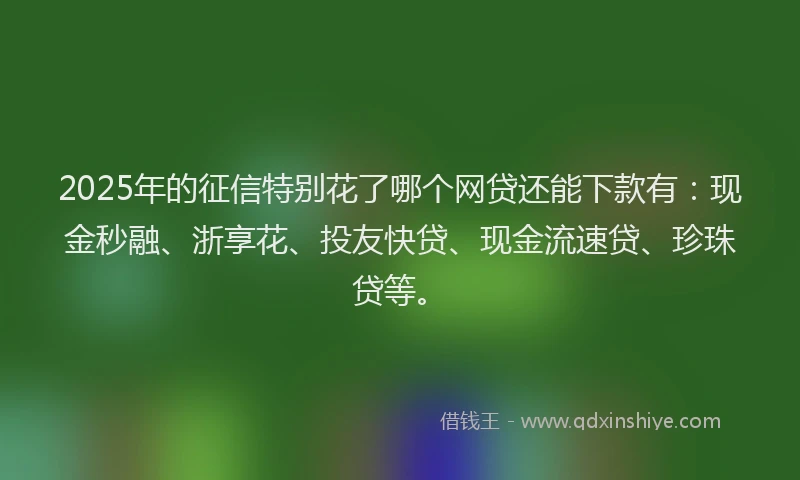 2025年的征信特别花了哪个网贷还能下款有：现金秒融、浙享花、投友快贷、现金流速贷、珍珠贷等。