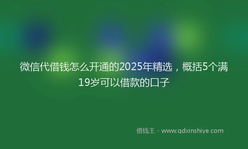微信代借钱怎么开通的2025年精选，概括5个满19岁可以借款的口子