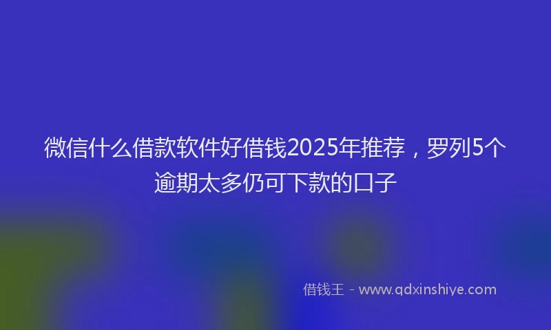 微信什么借款软件好借钱2025年推荐，罗列5个逾期太多仍可下款的口子