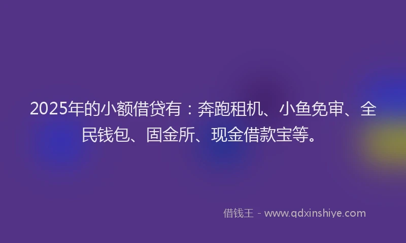 2025年的小额借贷有：奔跑租机、小鱼免审、全民钱包、固金所、现金借款宝等。