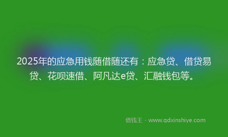 2025年的应急用钱随借随还有：应急贷、借贷易贷、花呗速借、阿凡达e贷、汇融钱包等。