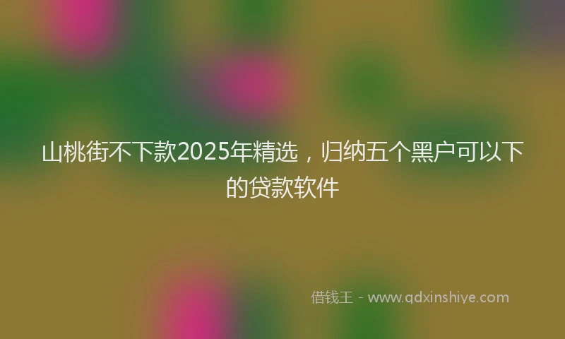 山桃街不下款2025年精选，归纳五个黑户可以下的贷款软件