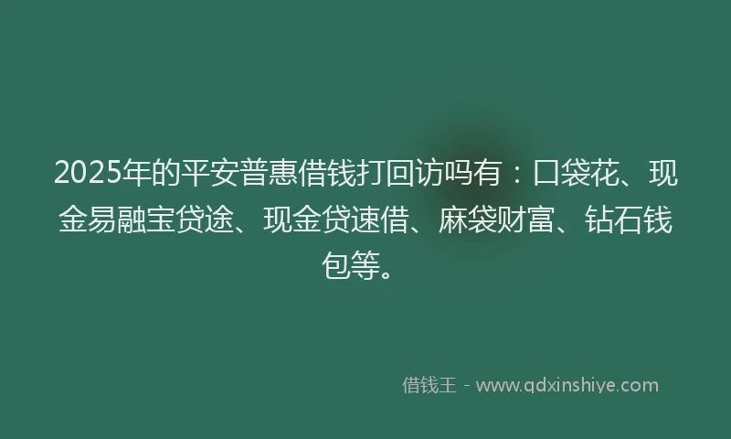 2025年的平安普惠借钱打回访吗有：口袋花、现金易融宝贷途、现金贷速借、麻袋财富、钻石钱包等。