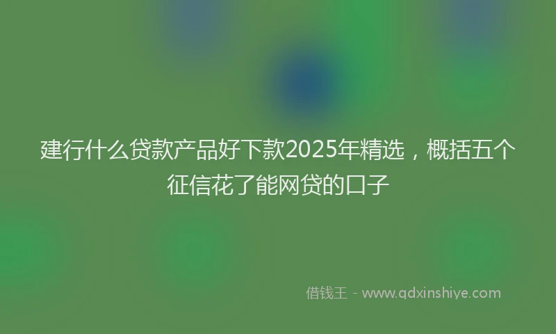建行什么贷款产品好下款2025年精选，概括五个征信花了能网贷的口子