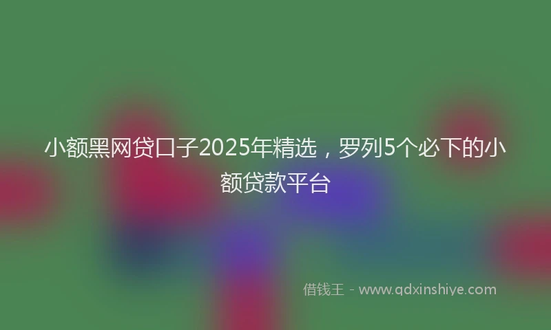 小额黑网贷口子2025年精选，罗列5个必下的小额贷款平台