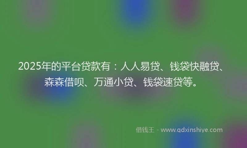 2025年的平台贷款有：人人易贷、钱袋快融贷、森森借呗、万通小贷、钱袋速贷等。