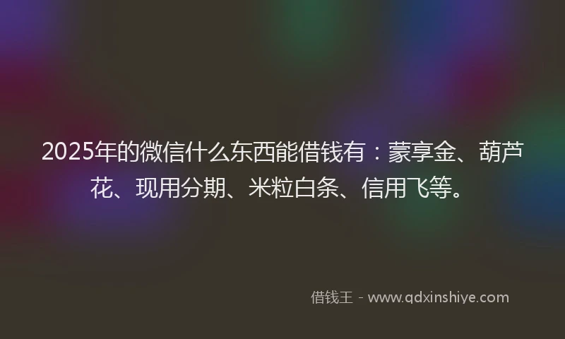 2025年的微信什么东西能借钱有：蒙享金、葫芦花、现用分期、米粒白条、信用飞等。