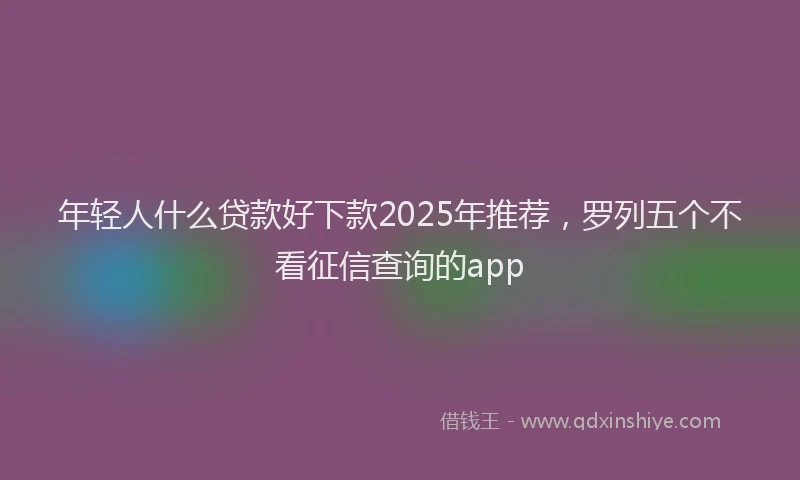 年轻人什么贷款好下款2025年推荐，罗列五个不看征信查询的app