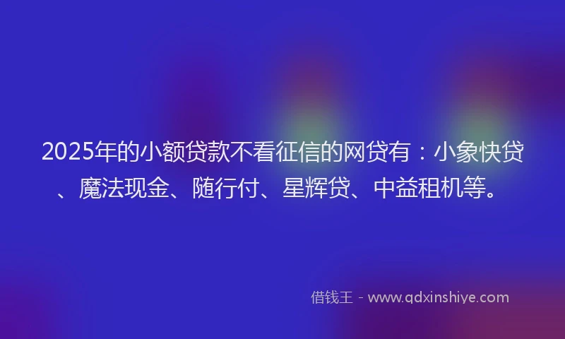 2025年的小额贷款不看征信的网贷有：小象快贷、魔法现金、随行付、星辉贷、中益租机等。