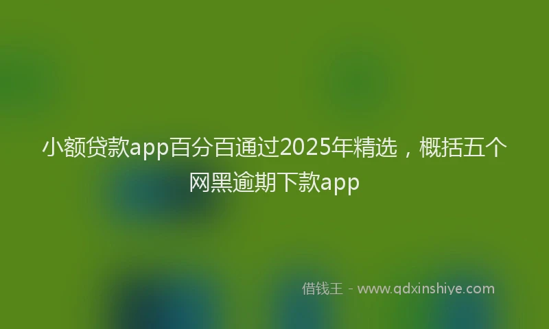 小额贷款app百分百通过2025年精选，概括五个网黑逾期下款app