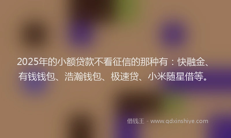 2025年的小额贷款不看征信的那种有：快融金、有钱钱包、浩瀚钱包、极速贷、小米随星借等。