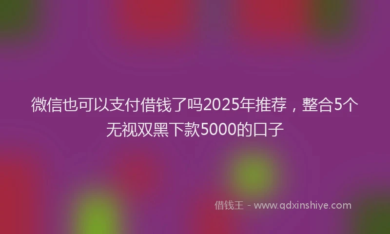 微信也可以支付借钱了吗2025年推荐，整合5个无视双黑下款5000的口子