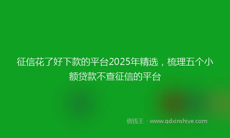 征信花了好下款的平台2025年精选，梳理五个小额贷款不查征信的平台