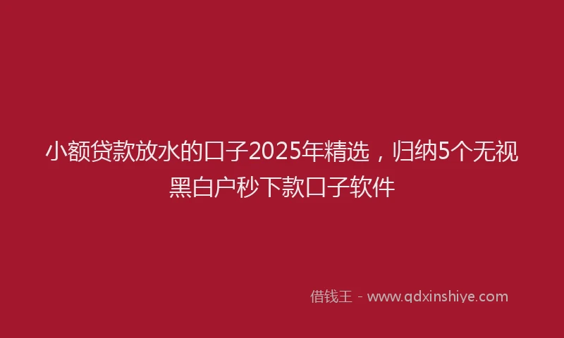 小额贷款放水的口子2025年精选，归纳5个无视黑白户秒下款口子软件