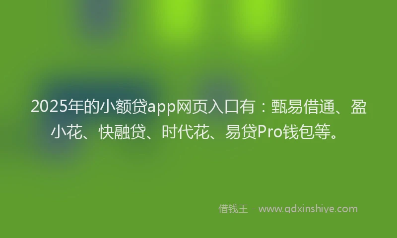 2025年的小额贷app网页入口有：甄易借通、盈小花、快融贷、时代花、易贷Pro钱包等。