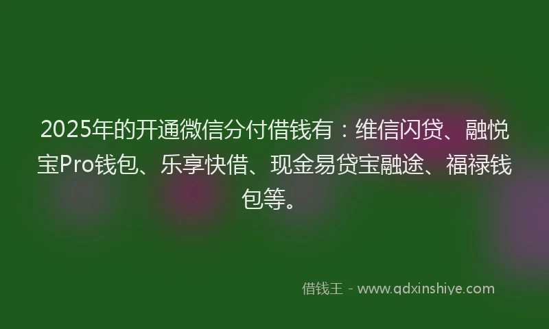 2025年的开通微信分付借钱有：维信闪贷、融悦宝Pro钱包、乐享快借、现金易贷宝融途、福禄钱包等。