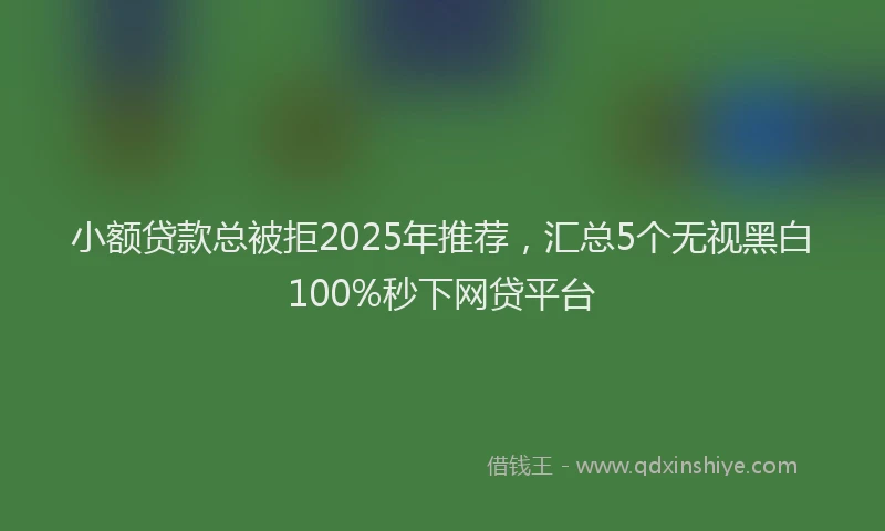 小额贷款总被拒2025年推荐，汇总5个无视黑白100%秒下网贷平台