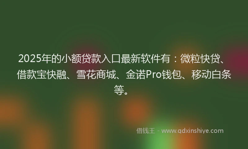 2025年的小额贷款入口最新软件有：微粒快贷、借款宝快融、雪花商城、金诺Pro钱包、移动白条等。