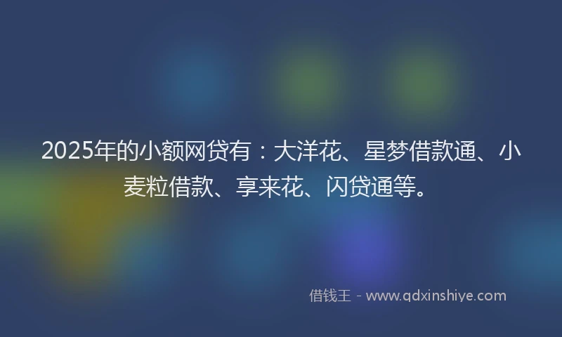 2025年的小额网贷有：大洋花、星梦借款通、小麦粒借款、享来花、闪贷通等。