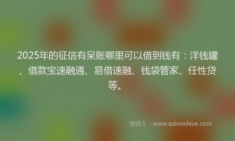 2025年的征信有呆账哪里可以借到钱有：洋钱罐、借款宝速融通、易借速融、钱袋管家、任性贷等。