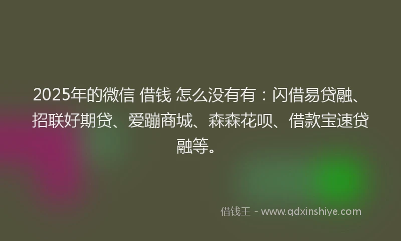 2025年的微信 借钱 怎么没有有：闪借易贷融、招联好期贷、爱蹦商城、森森花呗、借款宝速贷融等。