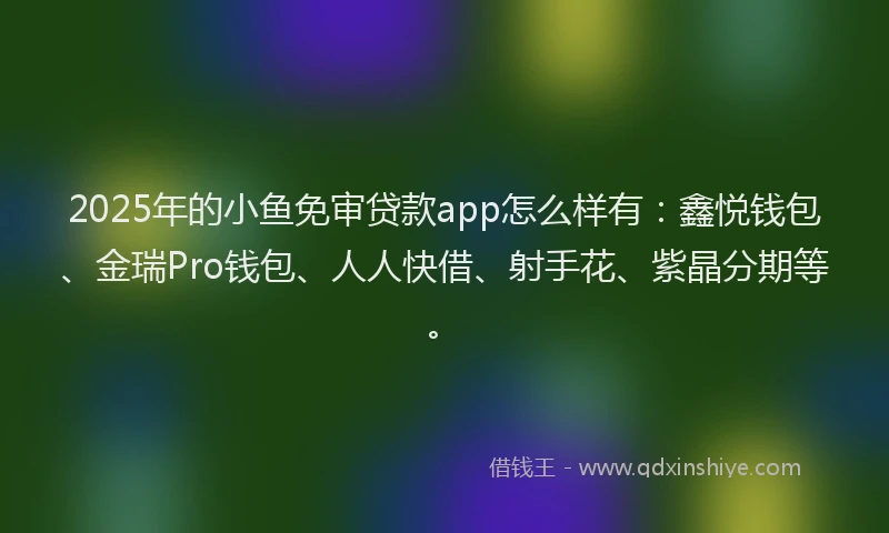 2025年的小鱼免审贷款app怎么样有：鑫悦钱包、金瑞Pro钱包、人人快借、射手花、紫晶分期等。
