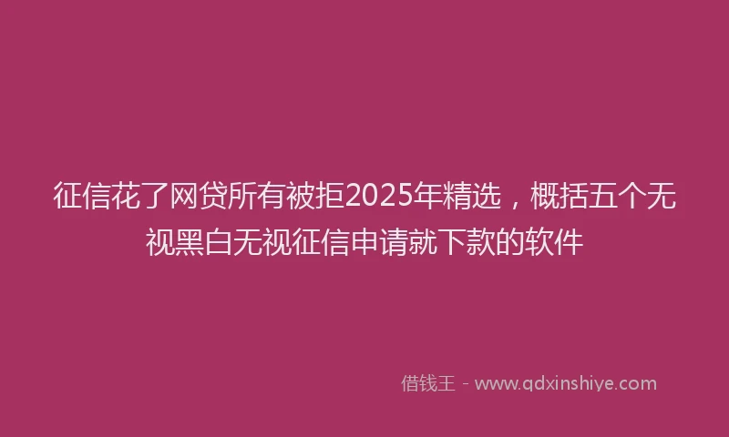 征信花了网贷所有被拒2025年精选，概括五个无视黑白无视征信申请就下款的软件