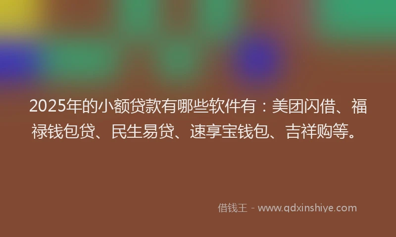 2025年的小额贷款有哪些软件有：美团闪借、福禄钱包贷、民生易贷、速享宝钱包、吉祥购等。