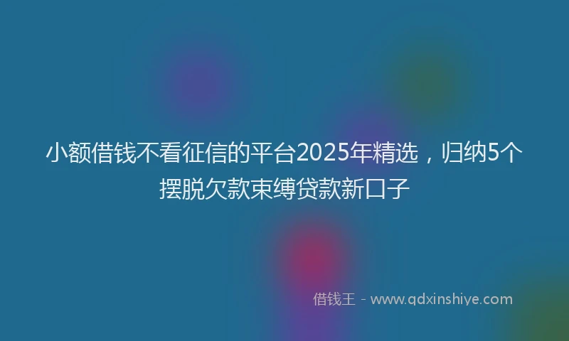 小额借钱不看征信的平台2025年精选，归纳5个摆脱欠款束缚贷款新口子