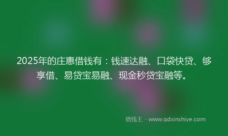 2025年的庄惠借钱有：钱速达融、口袋快贷、够享借、易贷宝易融、现金秒贷宝融等。