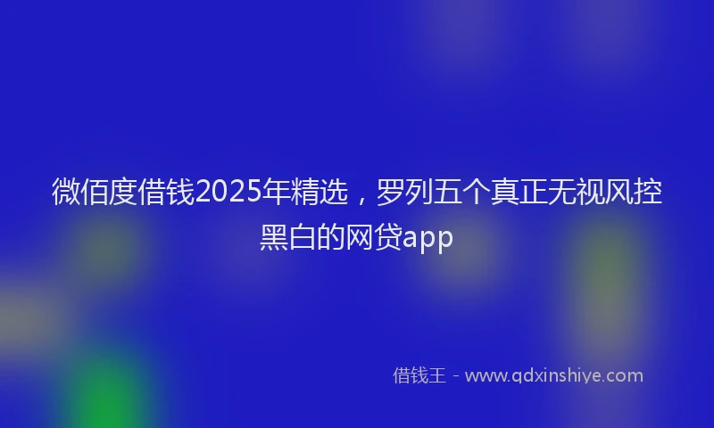 微佰度借钱2025年精选，罗列五个真正无视风控黑白的网贷app