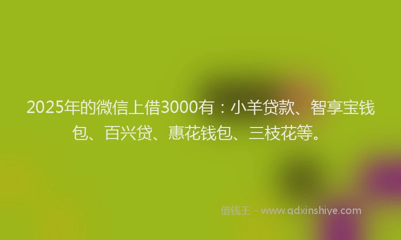 2025年的微信上借3000有：小羊贷款、智享宝钱包、百兴贷、惠花钱包、三枝花等。