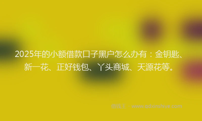 2025年的小额借款口子黑户怎么办有：金钥匙、新一花、正好钱包、丫头商城、天源花等。