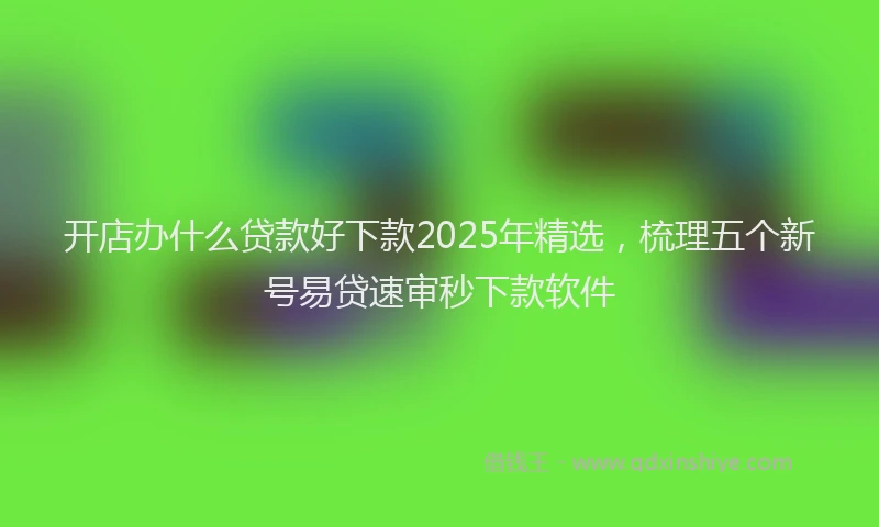 开店办什么贷款好下款2025年精选，梳理五个新号易贷速审秒下款软件