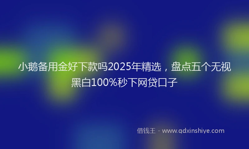 小鹅备用金好下款吗2025年精选，盘点五个无视黑白100%秒下网贷口子
