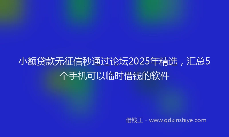 小额贷款无征信秒通过论坛2025年精选，汇总5个手机可以临时借钱的软件