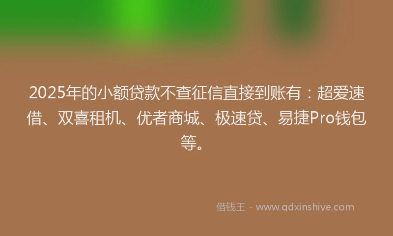 2025年的小额贷款不查征信直接到账有：超爱速借、双喜租机、优者商城、极速贷、易捷Pro钱包等。