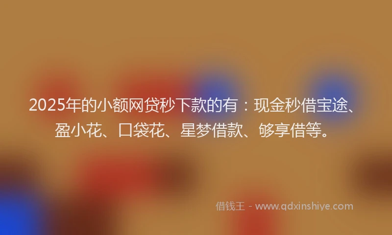 2025年的小额网贷秒下款的有：现金秒借宝途、盈小花、口袋花、星梦借款、够享借等。