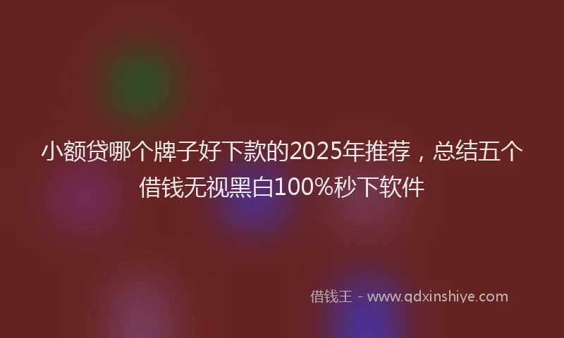 小额贷哪个牌子好下款的2025年推荐，总结五个借钱无视黑白100%秒下软件