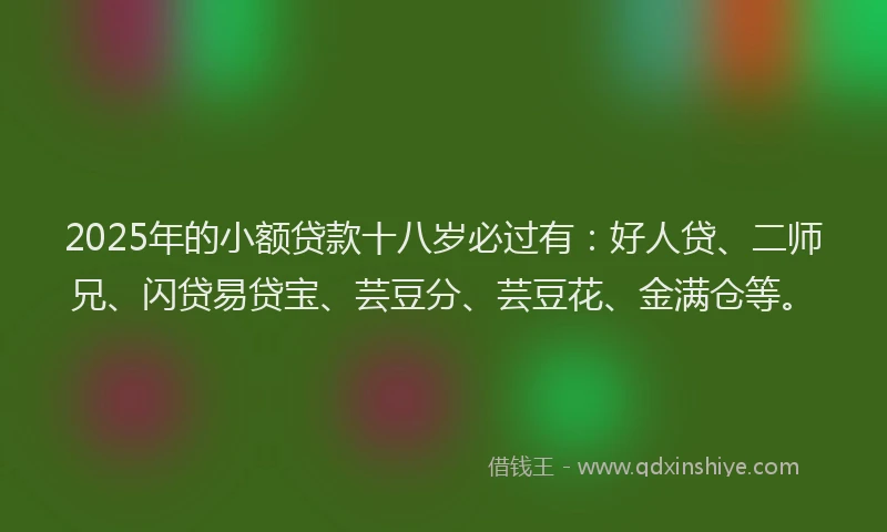 2025年的小额贷款十八岁必过有：好人贷、二师兄、闪贷易贷宝、芸豆分、芸豆花、金满仓等。