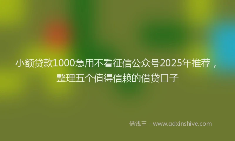 小额贷款1000急用不看征信公众号2025年推荐，整理五个值得信赖的借贷口子