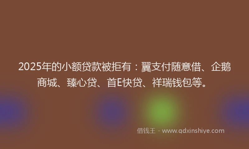 2025年的小额贷款被拒有：翼支付随意借、企鹅商城、臻心贷、首E快贷、祥瑞钱包等。