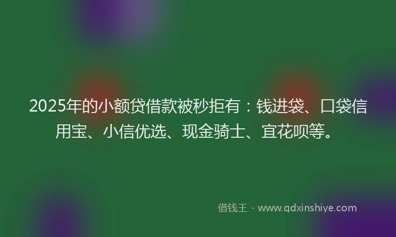 2025年的小额贷借款被秒拒有：钱进袋、口袋信用宝、小信优选、现金骑士、宜花呗等。